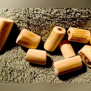 10 Handmade Alaska Devils Club root beads